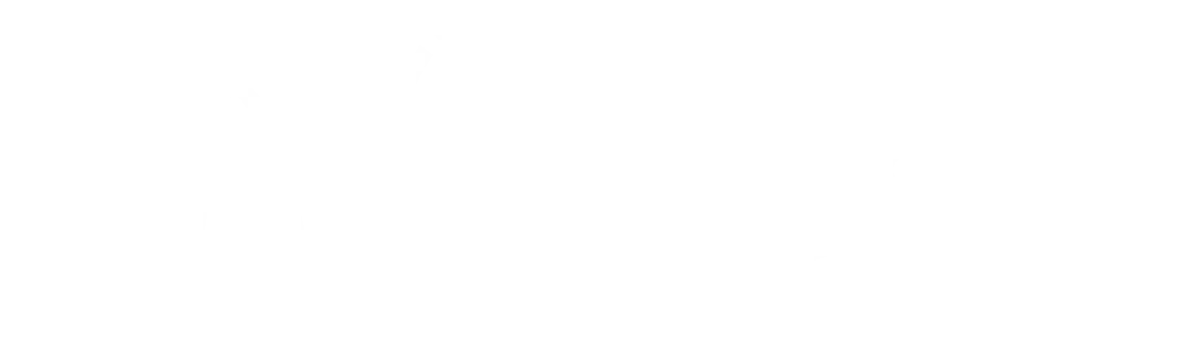 Nexus Digital